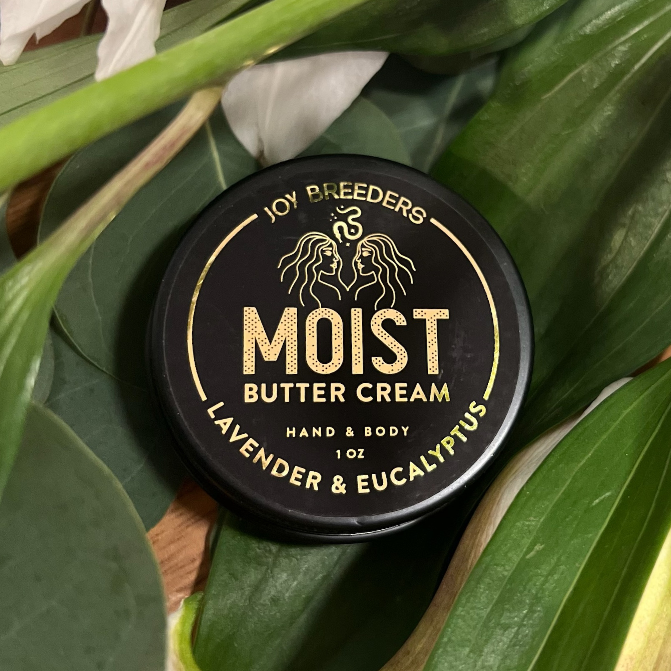 MOIST | Whole Body Moisturizer